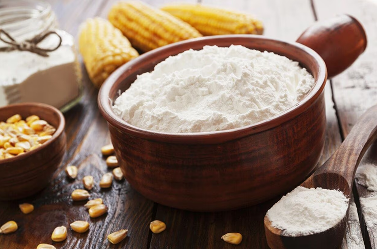 Starch Industries
